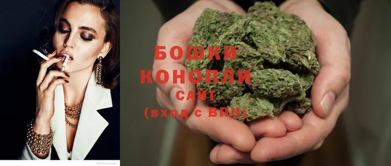 hydra ТОР  Александров  Бошки марихуана OG Kush  как найти  